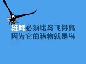 娱乐吃瓜酱励志文案短句,短句汇聚正能量