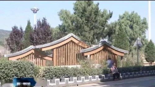 展现乡村美景的网红,网红镜头下的田园风光