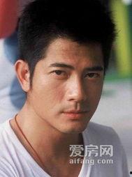 明星与风水,风水布局助力星光璀璨