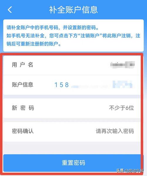 头条用户的名字都有什么,个性与趣味的碰撞