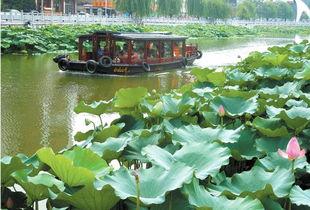 许昌护城河吃瓜,夏日吃瓜乐趣多