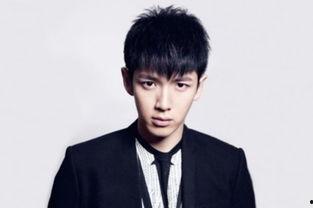 属羊的男明星有哪些,盘点属羊的璀璨男明星