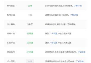 头条原创怎么自评,打造高质量内容标题的秘诀解析