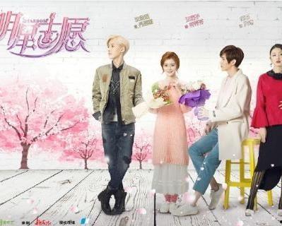 明星志愿是哪国的,揭秘明星志愿的全球魅力