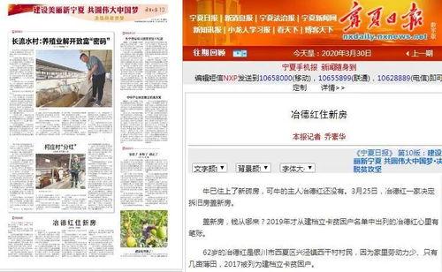 报纸倒头条重要,引领全球科技发展新潮流