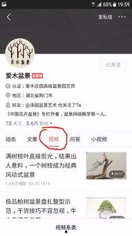 头条评论和点赞区别,洞察网络舆论风向的微妙差异