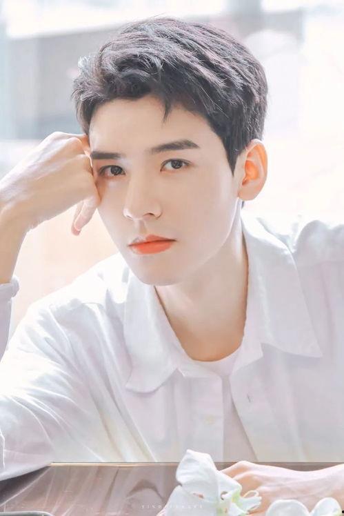 明星星星纸,闪耀娱乐界的璀璨星辉