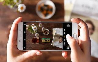 头条上保存手稿在哪里