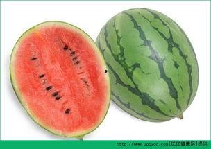 吃百瓜会过敏吗,了解这些预防措施至关重要